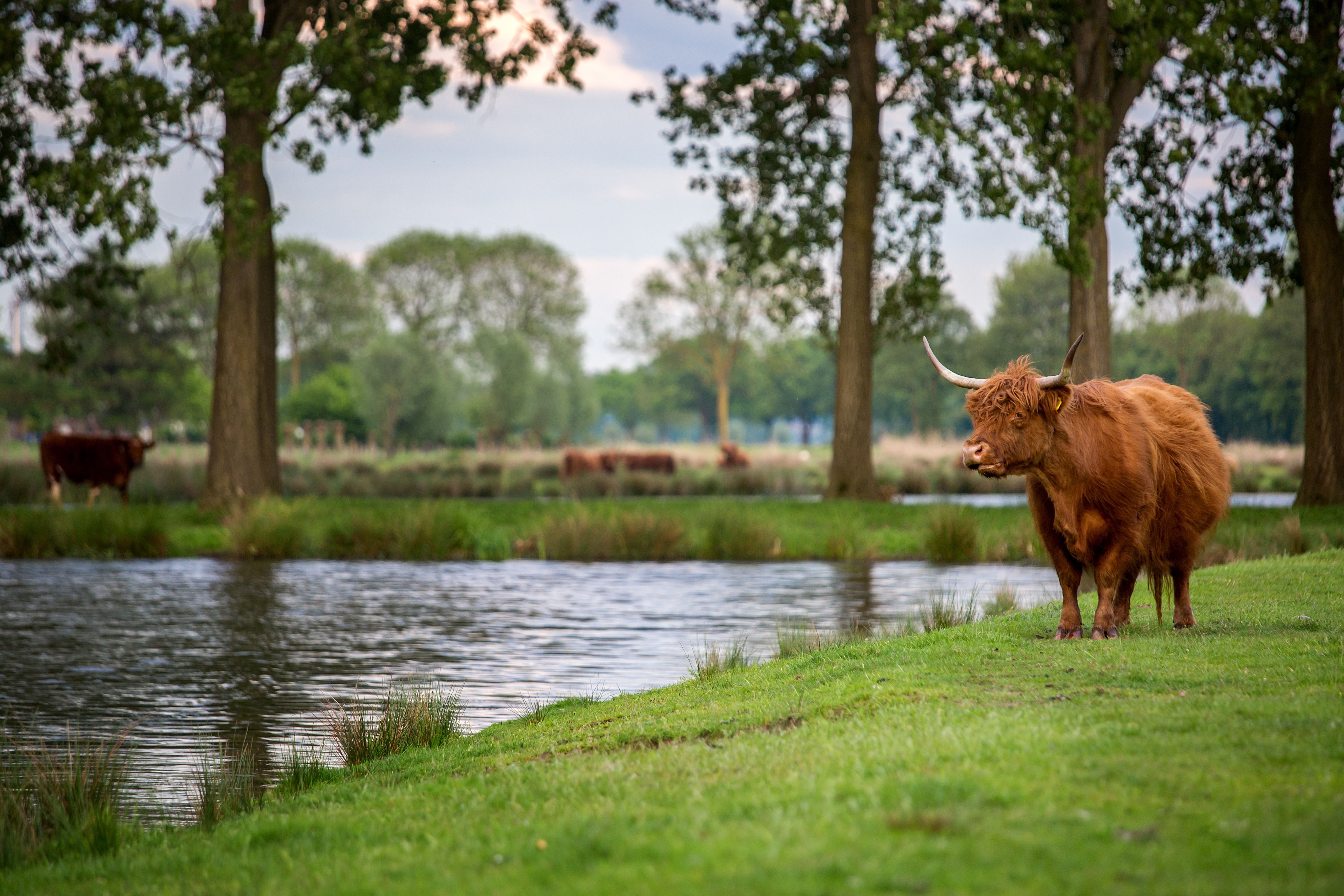 Op pad door het groen